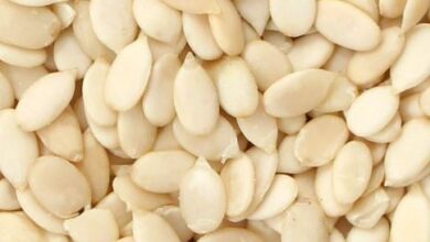 خواص تخمه هندوانه برای مردان