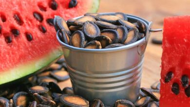 خواص تخمه هندوانه برای معده