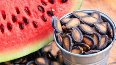 خواص تخمه هندوانه برای کودکان