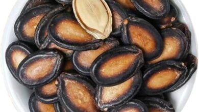 خواص تخمه هندوانه برای لاغری