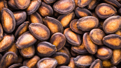 خواص تخمه هندوانه برای کبد