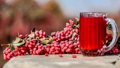 خواص آب زرشک برای دیابت