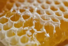 خواص موم عسل برای زنان