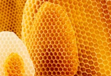 خواص موم عسل برای لب