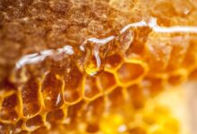 خواص موم عسل برای دیسک کمر