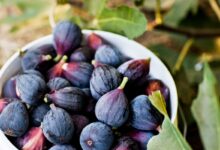 خواص انجیر سیاه برای مردان