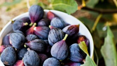 خواص انجیر سیاه برای مردان