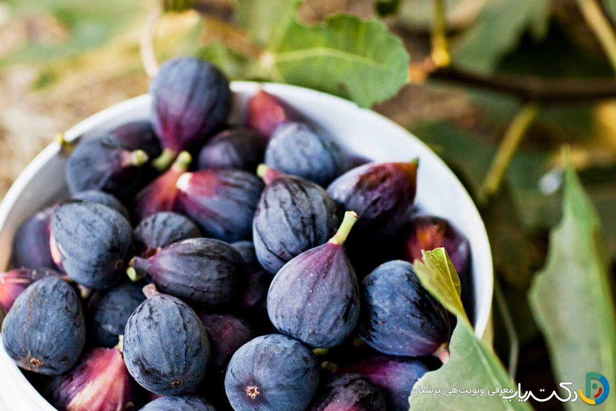 خواص انجیر سیاه برای مردان