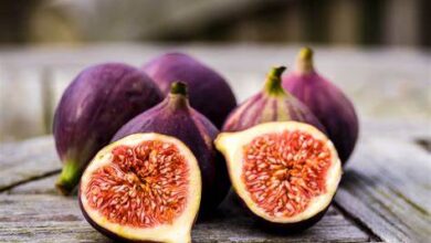 خواص انجیر سیاه برای زنان