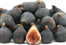 خواص انجیر سیاه برای اسپرم