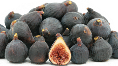 خواص انجیر سیاه برای اسپرم