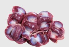 خواص سنگدان مرغ برای معده