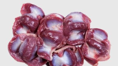 خواص سنگدان مرغ برای معده