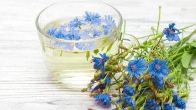 خواص عرق کاسنی در بارداری