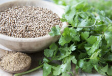 خواص گشنیز برای تیروئید