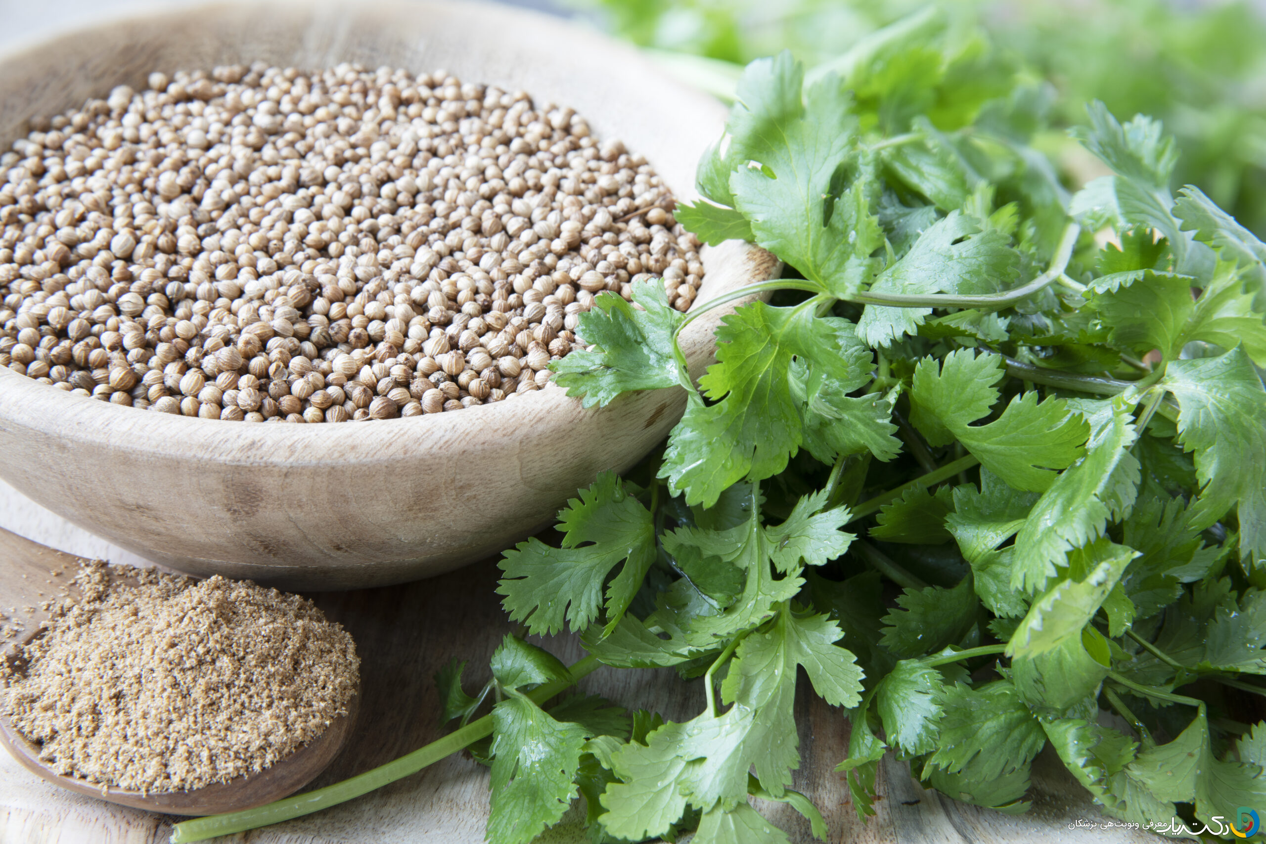 خواص گشنیز برای تیروئید