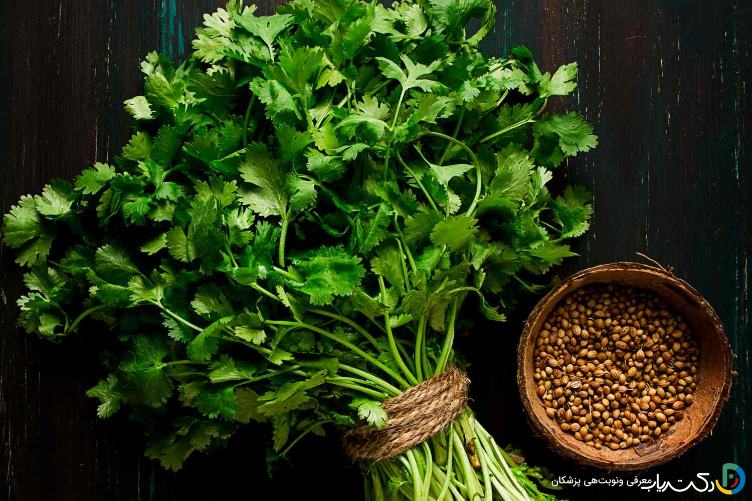 خواص گشنیز برای رحم