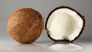 خواص نارگیل برای معده