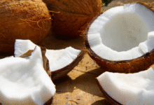 خواص نارگیل برای پوست