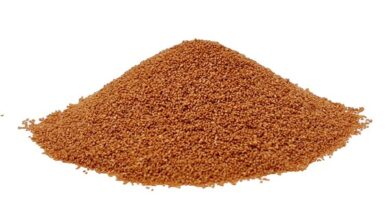 خواص خاکشیر برای باردار شدن