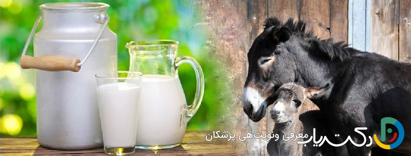 خواص شیر الاغ برای معده