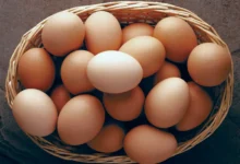 خواص تخم مرغ برای مو