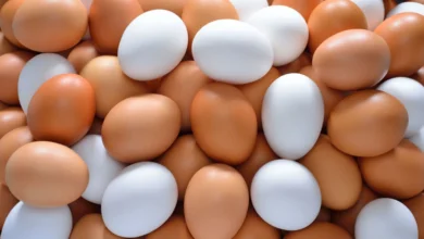 خواص تخم مرغ برای پوست