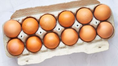 خواص تخم مرغ برای بدن