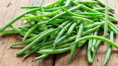 خواص لوبیا سبز برای لاغری