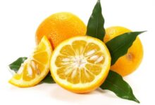 خواص آب نارنج برای غلظت خون
