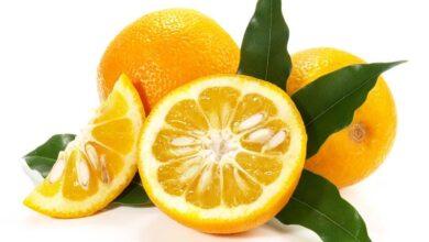 خواص آب نارنج برای غلظت خون