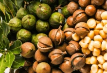 خواص ماکادمیا برای مو