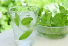 خواص عرق نعنا برای مو