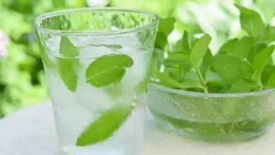 خواص عرق نعنا برای مو