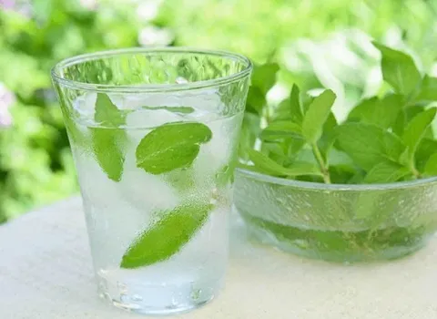 خواص عرق نعنا برای مو