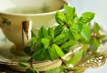 خواص عرق نعنا برای مردان