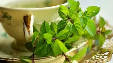 خواص عرق نعنا برای مردان