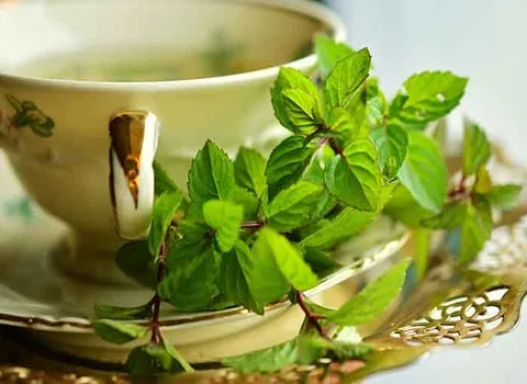 خواص عرق نعنا برای مردان