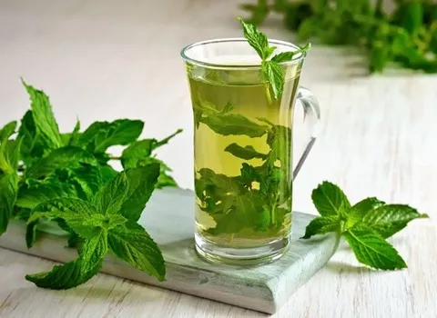 خواص عرق نعنا برای معده