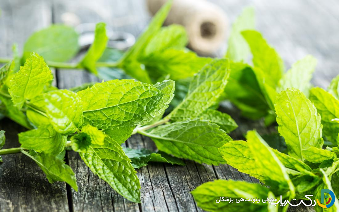 خواص عرق نعنا برای لاغری