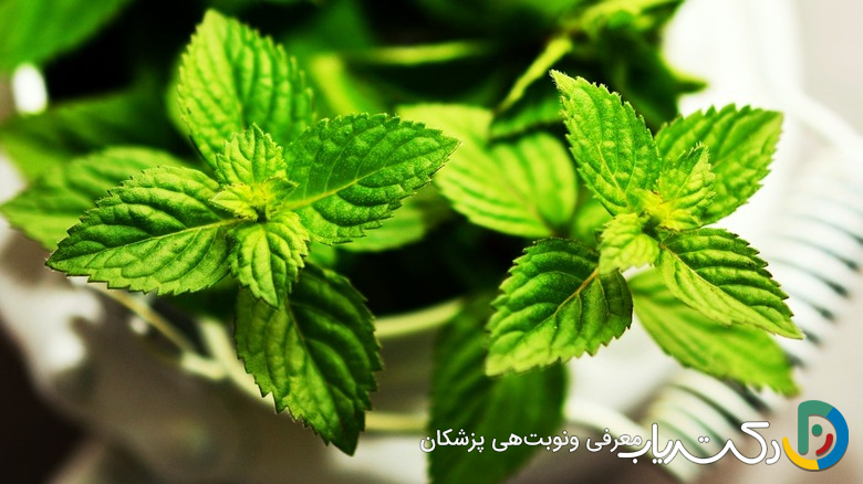 خواص عرق نعنا برای زنان
