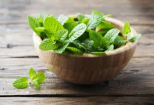خواص عرق نعنا برای پوست