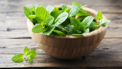 خواص عرق نعنا برای پوست