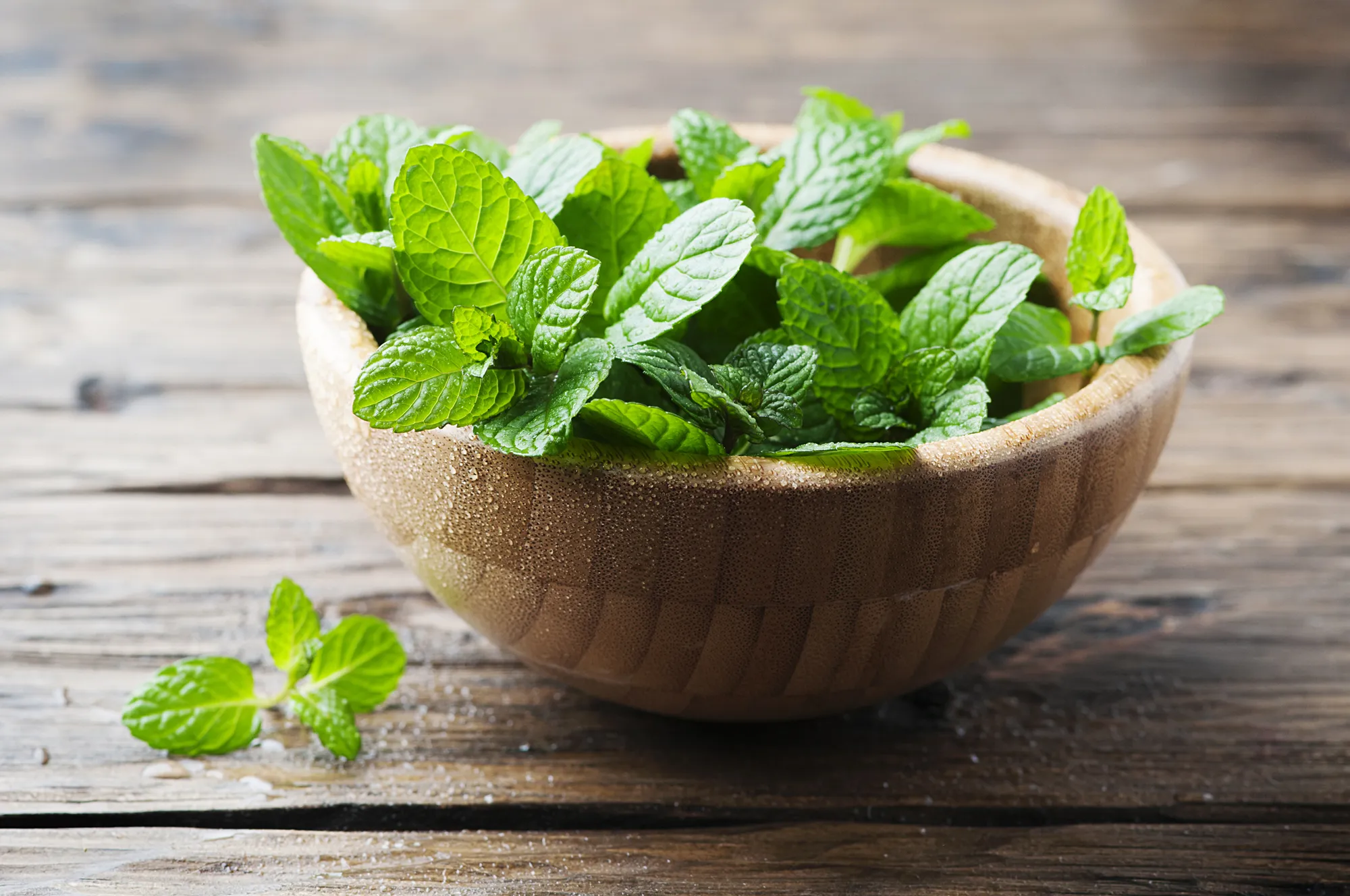 خواص عرق نعنا برای پوست