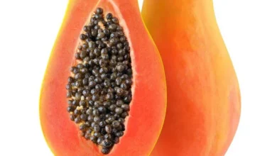 خواص پاپایا برای پلاکت خون