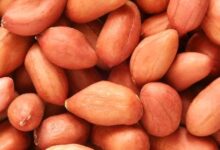 خواص بادام زمینی برای زود انزالی