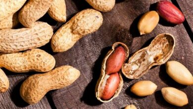 خواص بادام زمینی برای کودکان