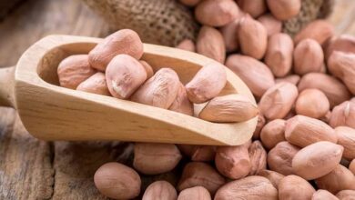 خواص بادام زمینی برای چاقی صورت