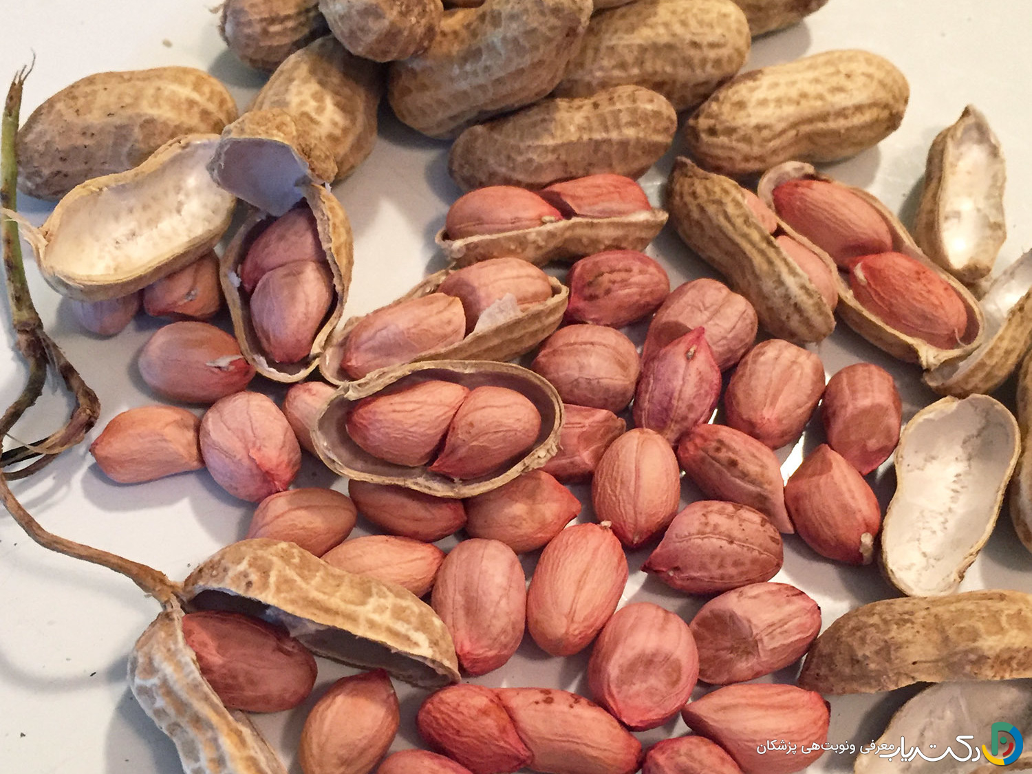 خواص بادام زمینی برای اسپرم