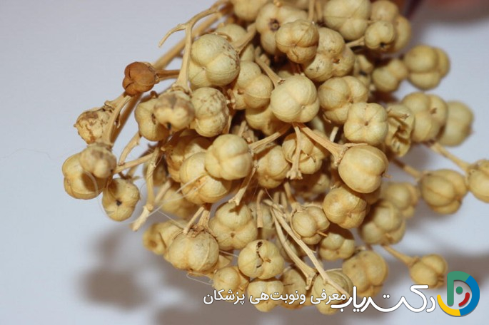 خواص اسپند برای نوزاد